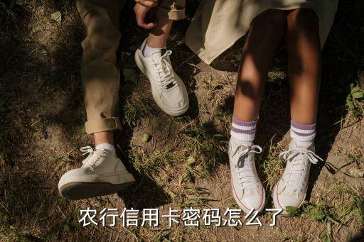 農(nóng)業(yè)信用卡密碼是什么情況，農(nóng)行信用卡查詢密碼是什么