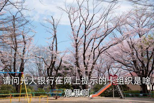 請問光大銀行在網(wǎng)上提示的卡組織是啥意思啊