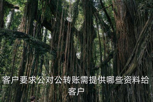 公戶轉(zhuǎn)賬需要帶什么資料，對公一般戶轉(zhuǎn)賬需要帶什么