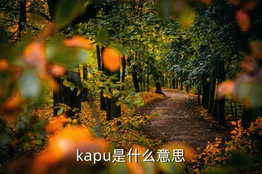 卡奴什么意思，kapu是什么意思