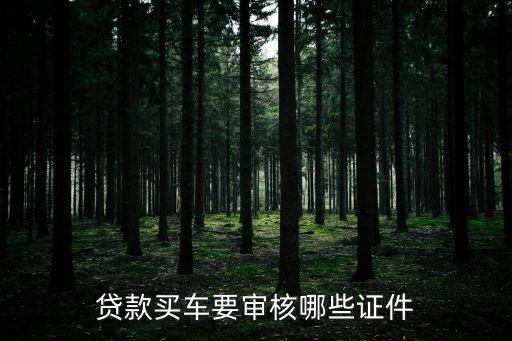 貸款買車要審核哪些證件
