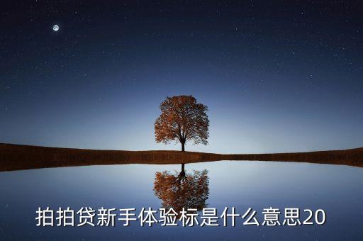 拍拍貸這么看是什么標(biāo)，拍拍貸滿標(biāo)是什么意思