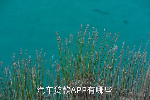 查汽車分期用什么軟件比較好，怎樣才能夠查的到小車是否是屬于分期付款的車