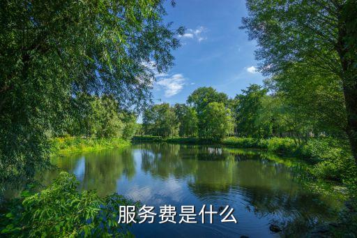 服務(wù)費是什么