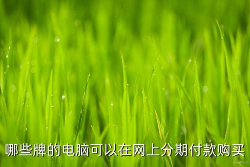 哪些牌的電腦可以在網(wǎng)上分期付款購買