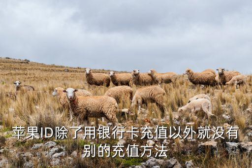 蘋果ID除了用銀行卡充值以外就沒有別的充值方法