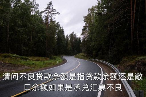 不良貸款余額是什么意思，擔(dān)保公司的不良擔(dān)保余額是什么意思