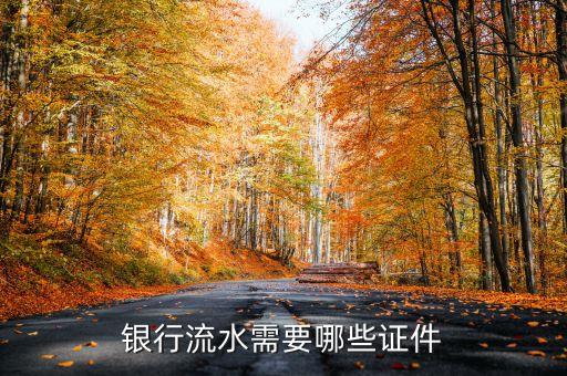 貸款拉銀行流水看什么證件，辦理銀行流水賬單 需要什么證件