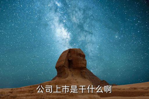 公司上市是干什么啊