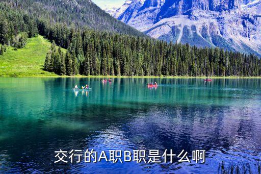 交行的A職B職是什么啊