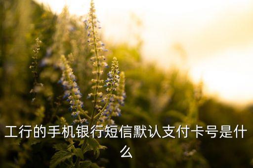 工行的手機(jī)銀行短信默認(rèn)支付卡號(hào)是什么