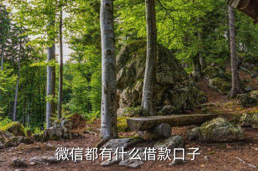 微信都有什么借款口子