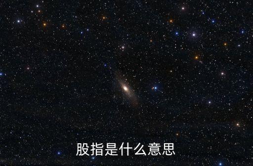 股指是什么意思