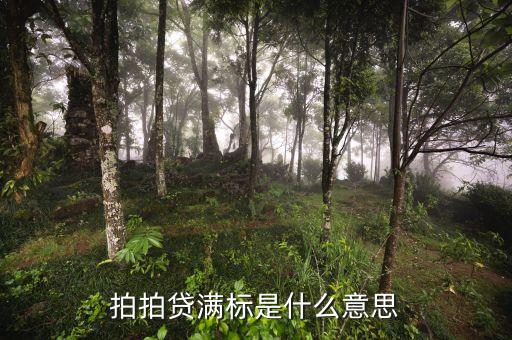 拍拍貸滿標是什么意思