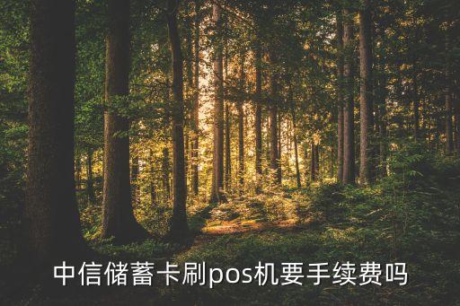 中信銀行個(gè)人pos機(jī)辦理需要什么手續(xù)費(fèi)嗎，中信銀行pos機(jī)手續(xù)費(fèi)費(fèi)率是多少