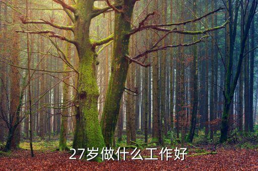 27歲干點(diǎn)什么賺錢，我今年27歲了沒技術(shù)沒本錢做什么才能賺點(diǎn)錢起來