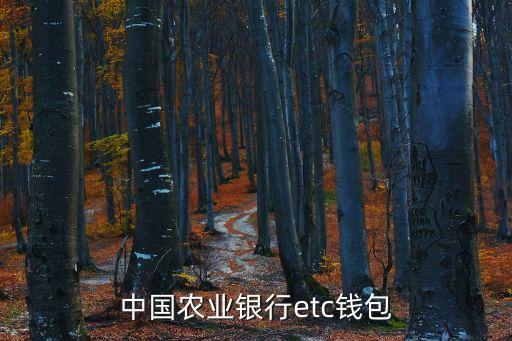 中國農(nóng)業(yè)銀行etc錢包
