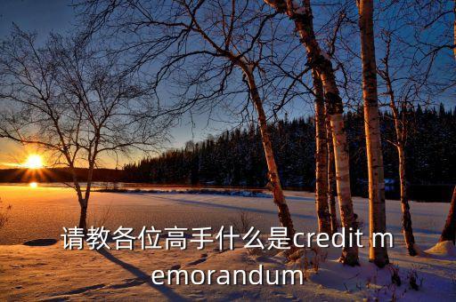 請教各位高手什么是credit memorandum