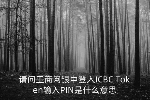 信用卡的pin是什么意思啊，刷卡不正確的pin什么意思