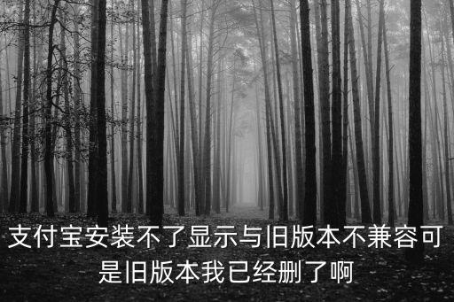 支付寶為什么不兼容，為什么微信支付寶不能兼容