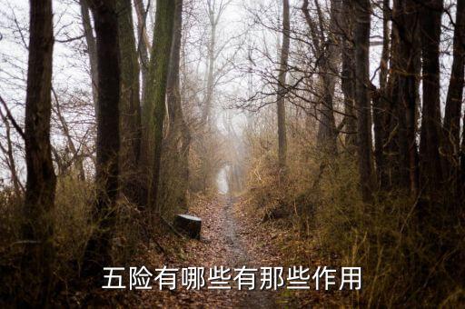 五險(xiǎn)有哪些有那些作用