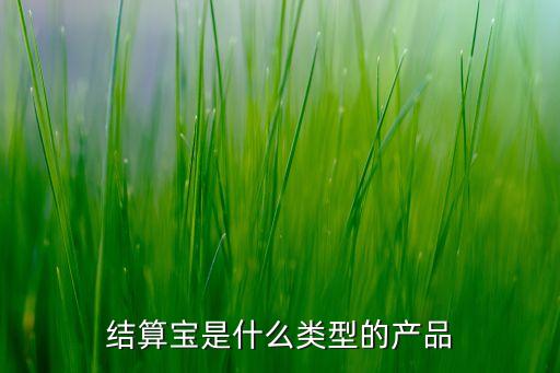 結(jié)算寶是什么類型的產(chǎn)品