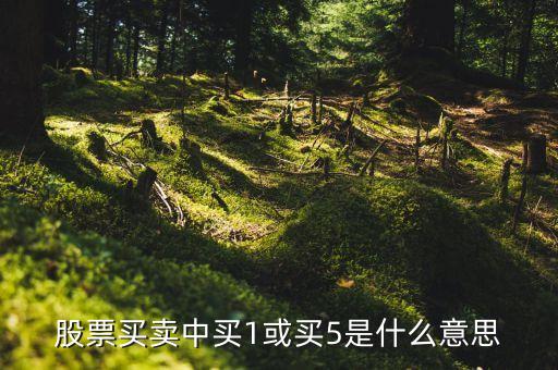 買賣中的買是什么意思是什么，買是什么意思
