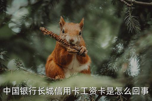 中國(guó)銀行長(zhǎng)城信用卡工資卡是怎么回事