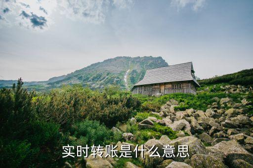 實時轉(zhuǎn)賬是什么意思