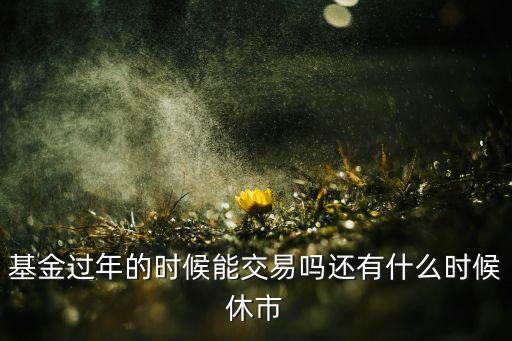 基金過年的時候能交易嗎還有什么時候休市