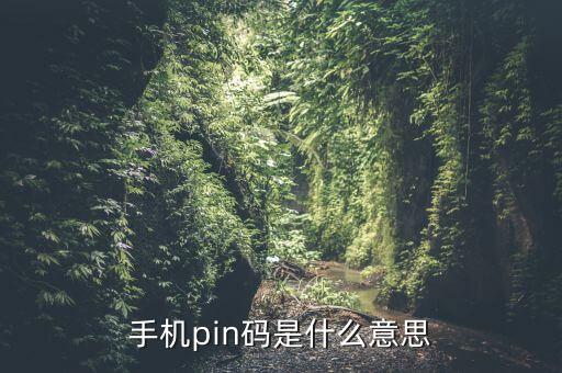 手機銀行pin碼是什么意思啊，網(wǎng)銀盾PIN碼是什么意思