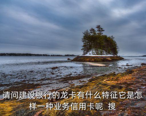 為什么叫龍卡，龍卡只有建行發(fā)行的嗎為什么建行的visa卡和龍卡是一張卡