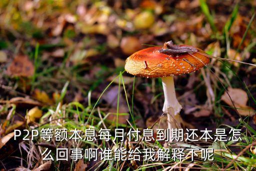 每月付息什么意思，我朋友理財利息支付方式每月付息什么意思