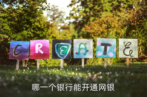 開通網(wǎng)銀什么銀行都，哪一個銀行能開通網(wǎng)銀
