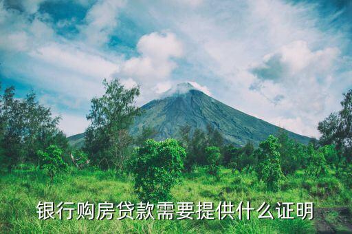 銀行購房貸款需要提供什么證明