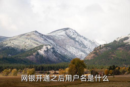 網銀開通之后用戶名是什么