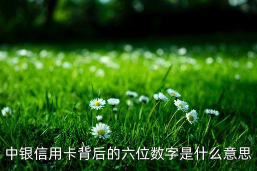中銀信用卡背后的六位數(shù)字是什么意思