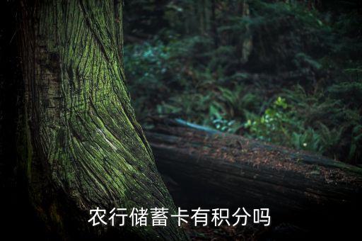 農(nóng)行儲蓄卡有積分嗎
