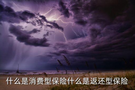 什么是消費型保險什么是返還型保險