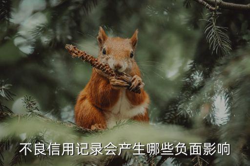 不良信用記錄會產生哪些負面影響