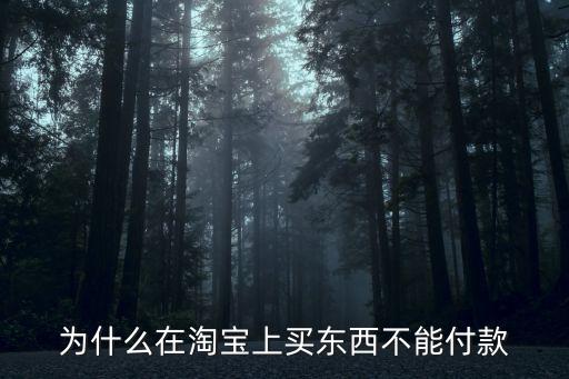 淘寶買(mǎi)東西為什么付不了款呢，淘寶為什么付不了款