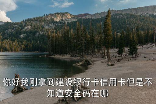 你好我剛拿到建設(shè)銀行卡信用卡但是不知道安全碼在哪