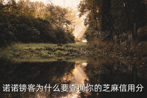 諾諾鎊客為什么要查詢你的芝麻信用分