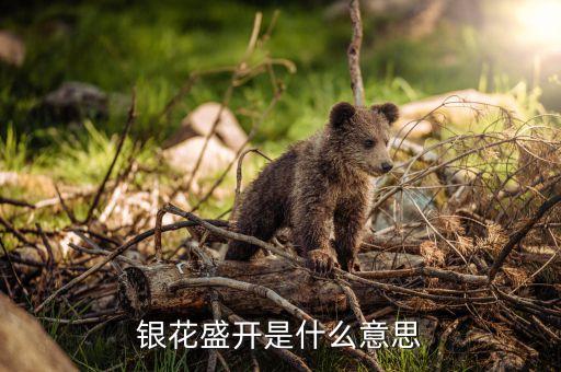 銀華是什么意思，銀華是女兒叫什么