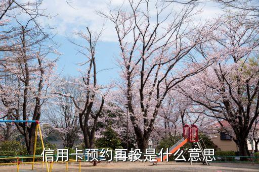 再投啥意思是什么意思是什么意思是什么意思，京東上的訂單說是再投是什么意思