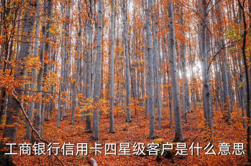 建設(shè)銀行龍卡4星是什么，銀行四星是什么意思
