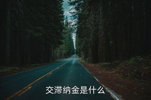 滯納金是通過(guò)什么，我想知道這個(gè)利息和滯納金怎么來(lái)的