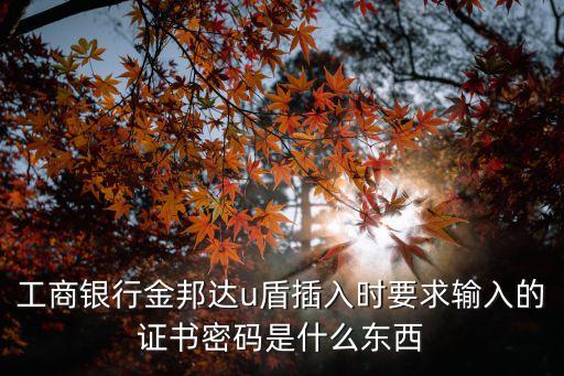 e盾證書密碼是什么，u盾密碼是什么