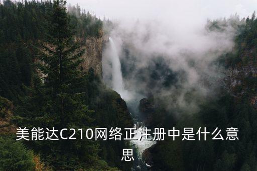 美能達(dá)C210網(wǎng)絡(luò)正注冊中是什么意思