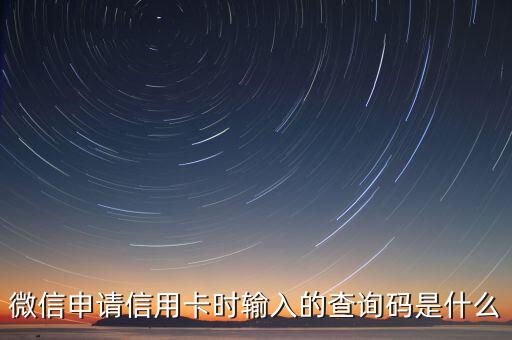 新信用卡查詢碼是什么意思啊，農(nóng)業(yè)銀行信用卡查詢碼是指什么